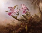 Orchids and Hummingbird - 马丁·约翰逊·赫德